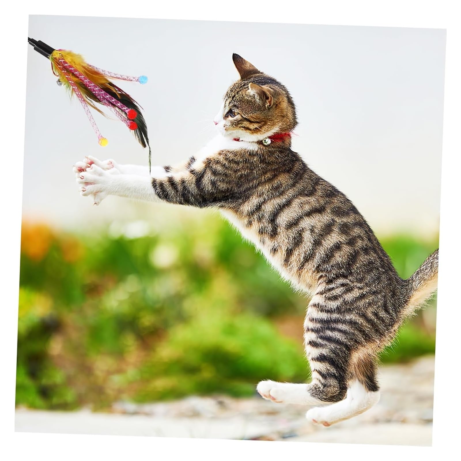 Katzen-Spielzeug, 4-teiliges Set mit Glocken, interaktives Spielzeug for Hauskatzen, zufällige Farben, spannendes Spielen for Kätzchen