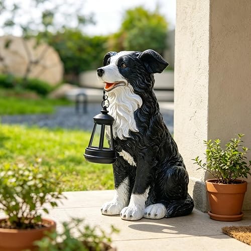 COWOS Solar Border Collie Dog Statue with Lantern, Resin Outdoor