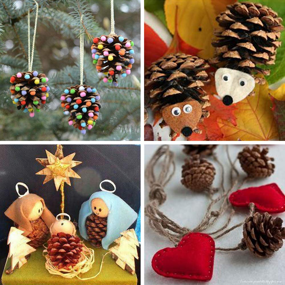 Supla Lot de 30 à Suspendre véritable Préservé Pommes de pin avec Cordes 5,1 - 7,6 cm Hauteur pour décoration de Noël Hiver Noël