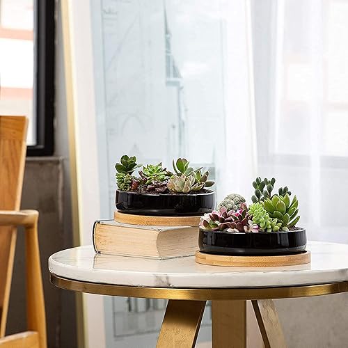 Miniatura 6 de Yangbaga Platillo de madera de bambú de 6.7 pulgadas, paquete de 2 bandejas para plantas, platillo redondo para plantas de interior y exterior