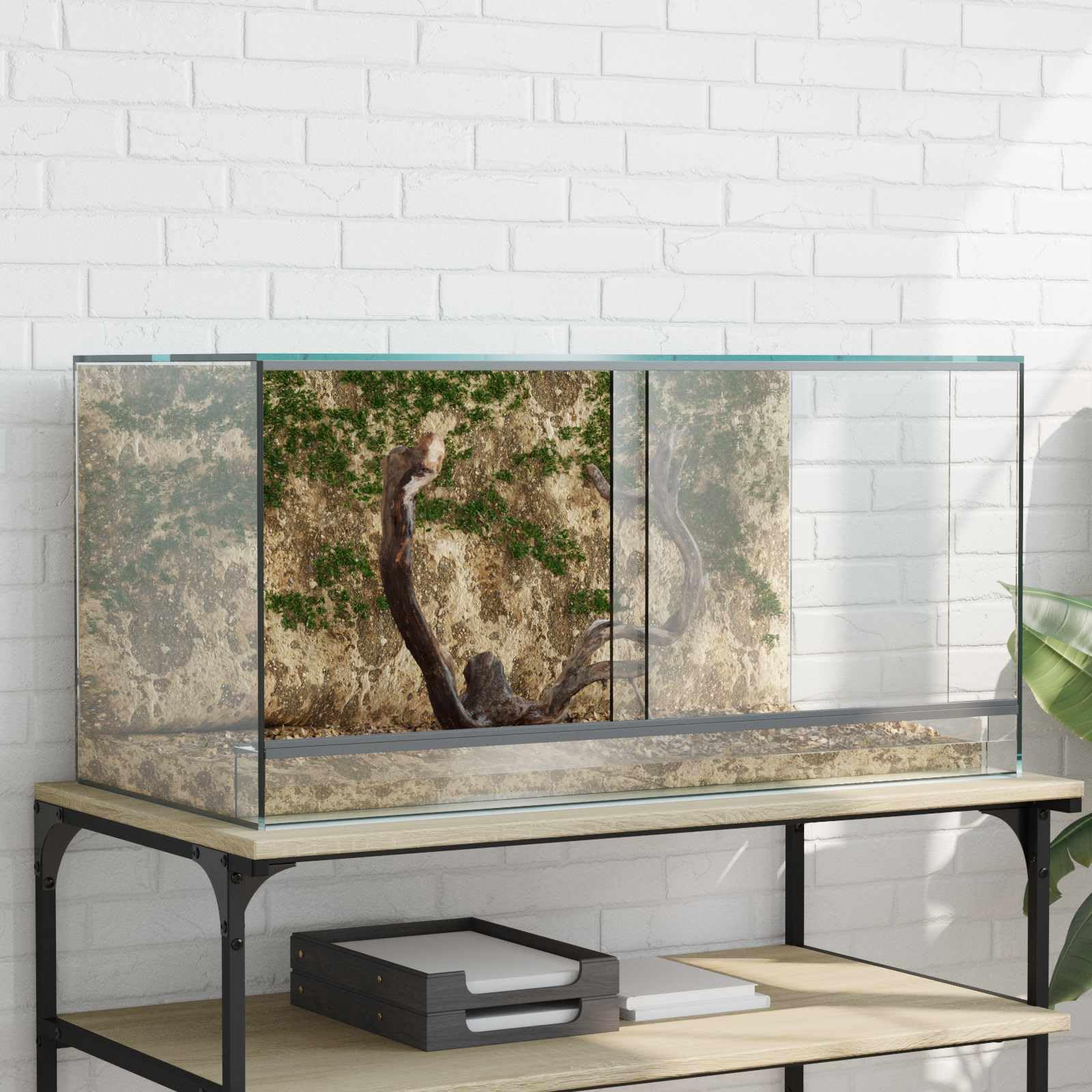 vidaXL Terrario Transparente 80 x 40 x 40 cm Cristal, Terrario de Vidrio Moderno, Refugio Resistente, hábitat 360°, hogar Transparente para Animales
