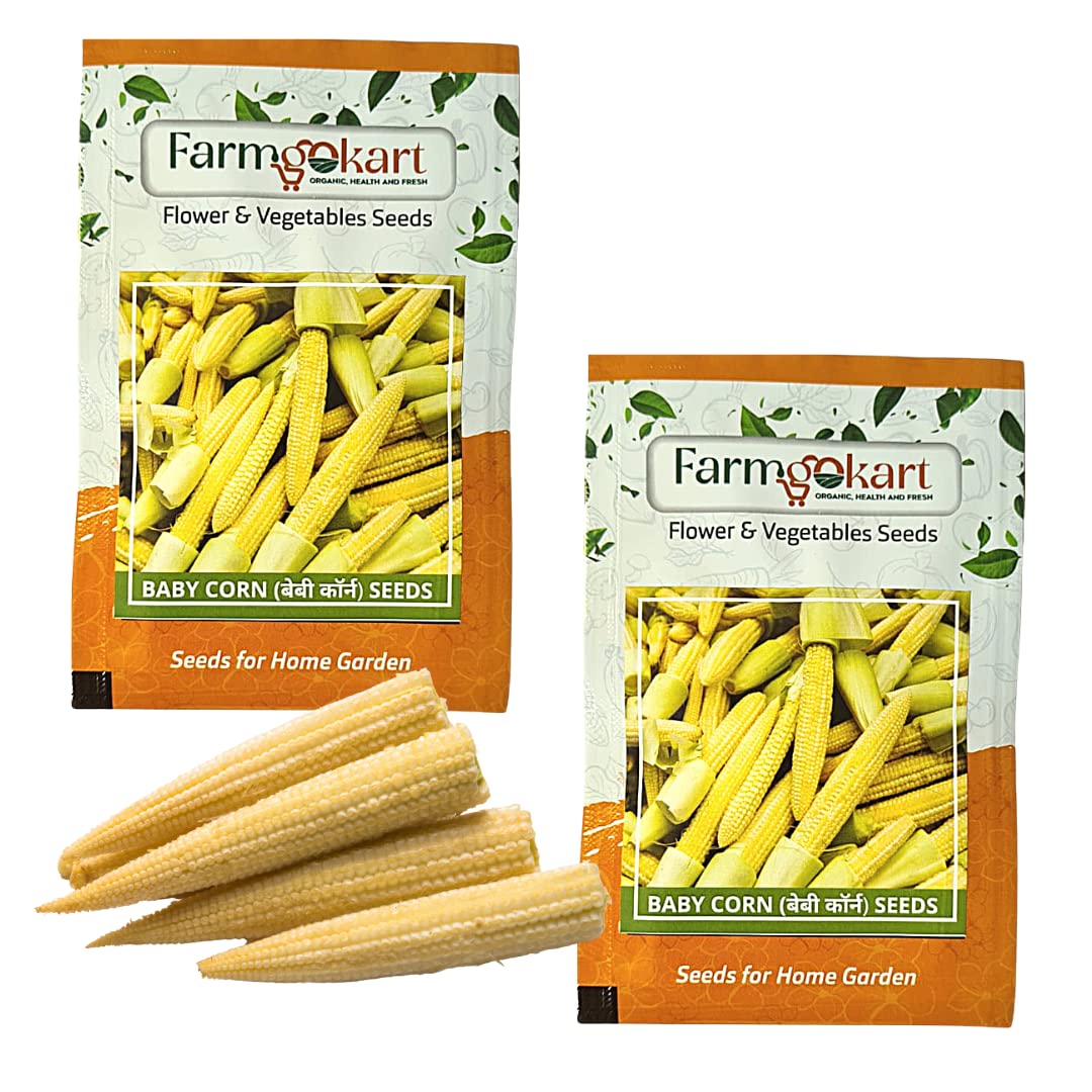 2 Packets of F1 Hybrid BABY CORN SEEDS | Best Suitable For Terrace And Home Gardening | vegetable and Herbs Seeds Pouch | 20 nos seeds Per packet (B0BQF944TP) Amazon Price History, Amazon Price Tracker