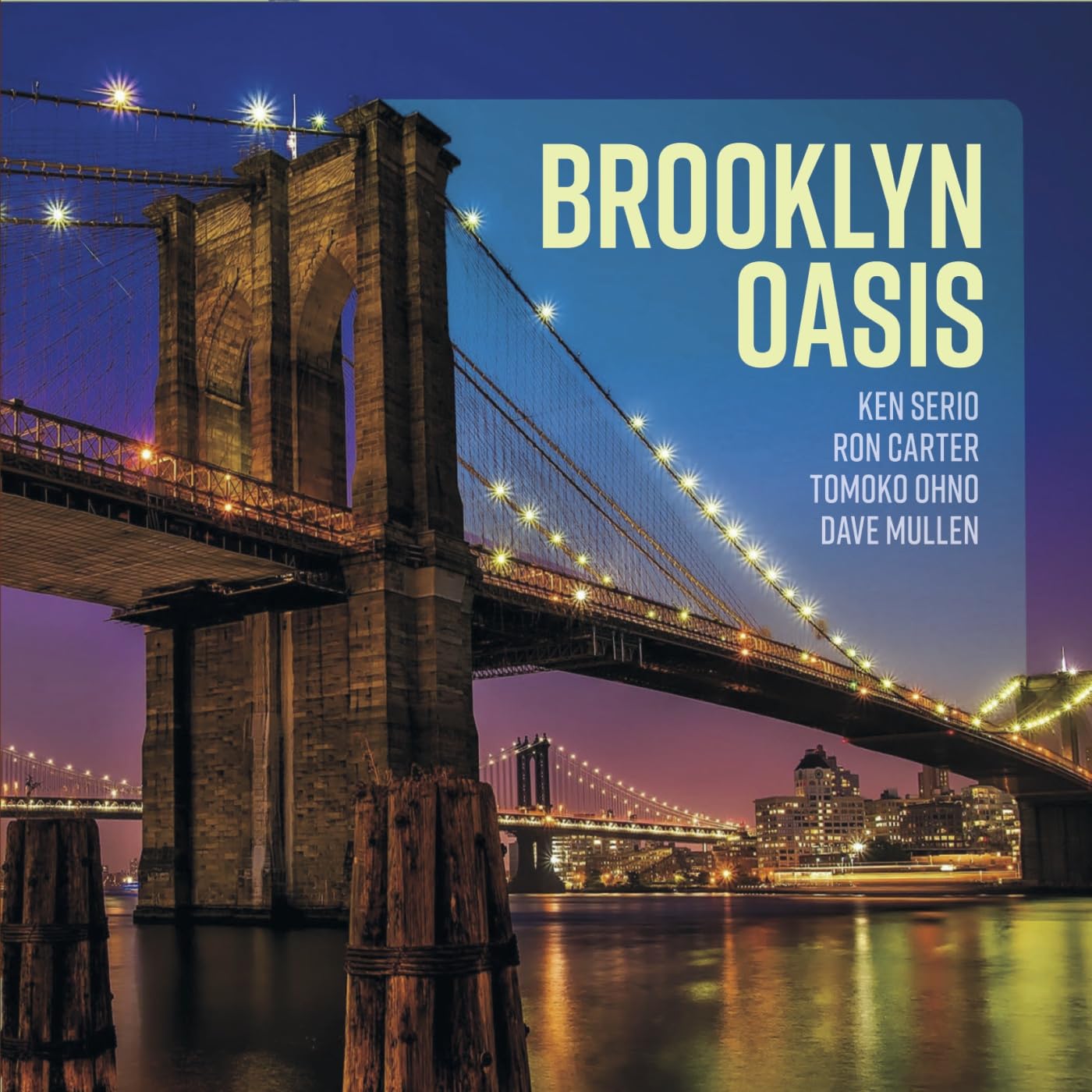 Brooklyn Oasis [Vinyl LP] [VINYL]