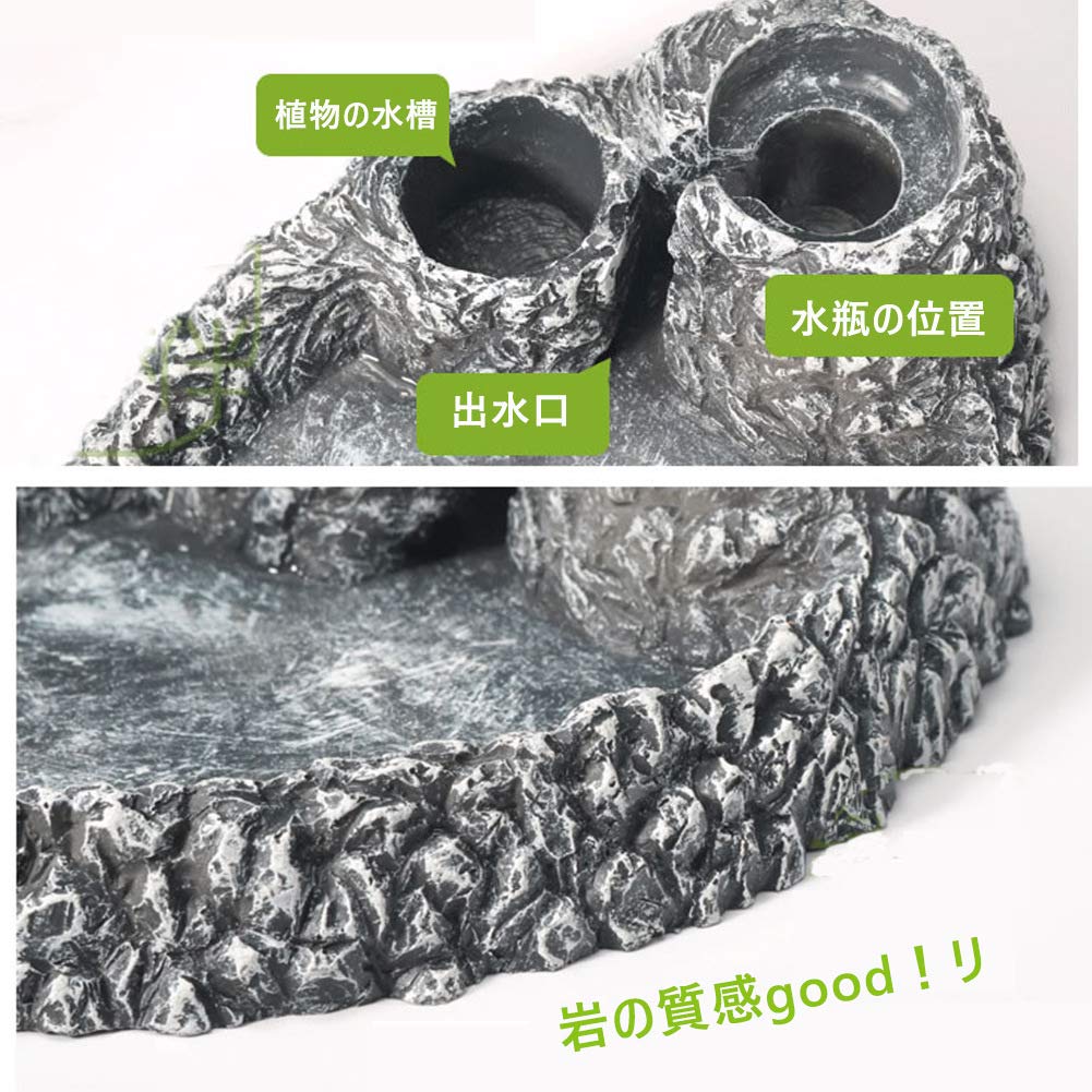 爬虫類　水 エサ入れ　23 Amazon | 爬虫類 水入れ 餌入れ 食器 餌 自動給水器 エサ入れ