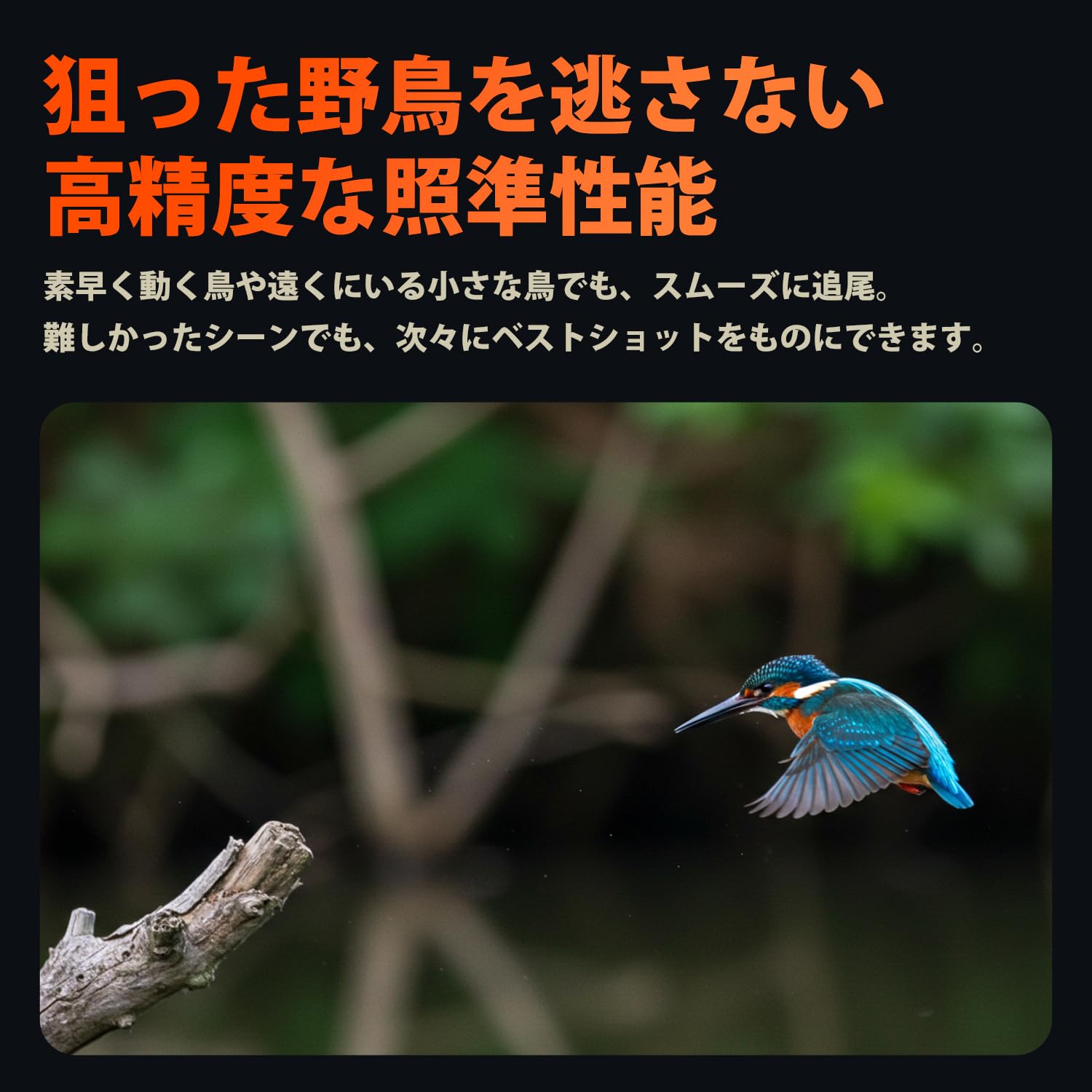 SONIDOORI ドットサイト　野鳥撮影 SONIDORI ドットサイトPRO | SONIDORI｜ソニドリ