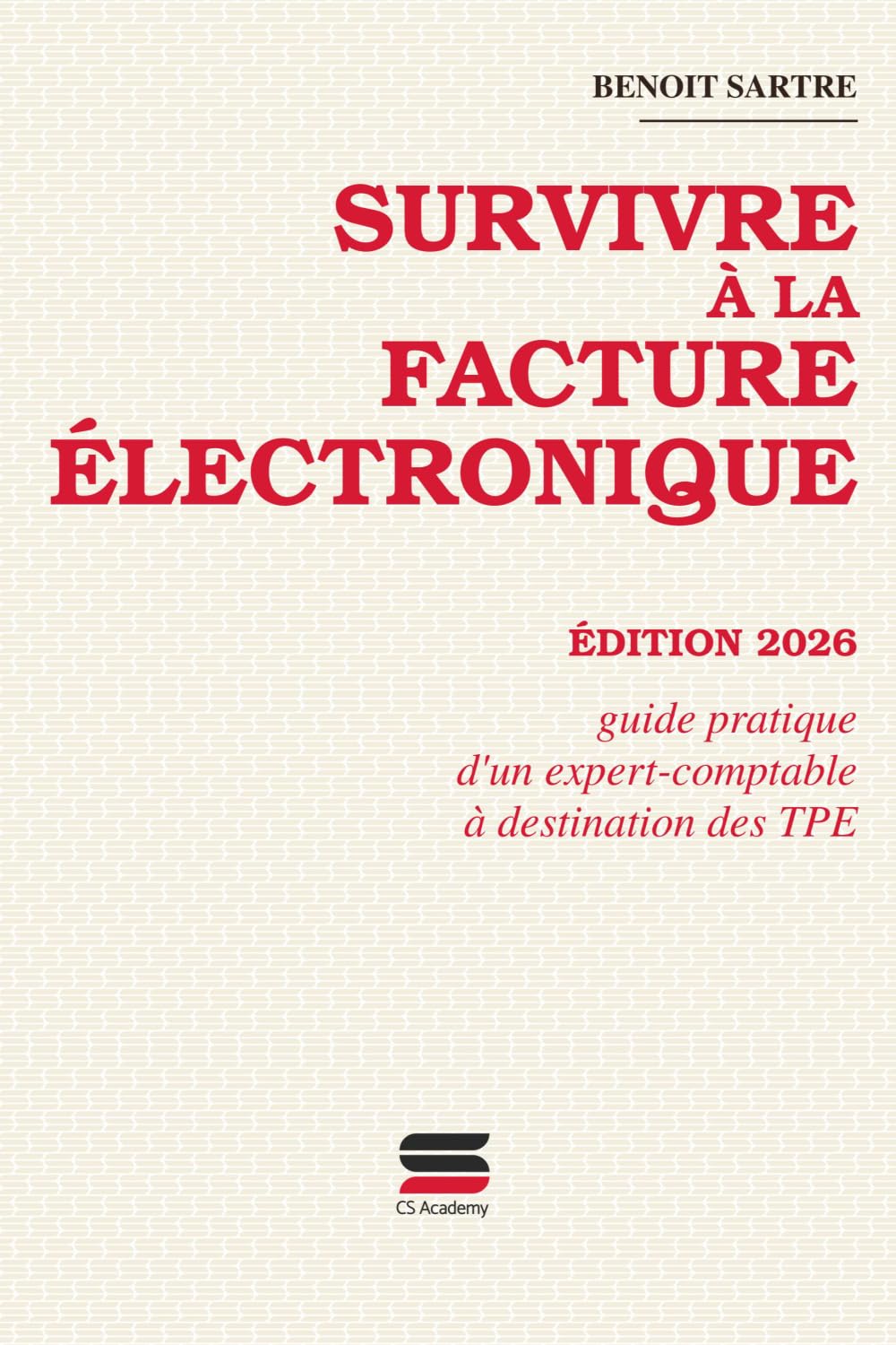 Survivre à la facture électronique: Guide pratique d'un expert-comptable à destination des TPE