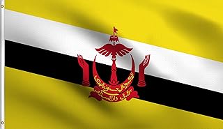 DMSE Brunei Flag 2X3Ft Foot 100% Polyester 100D Flag Bruneian