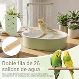 Ver la foto 4