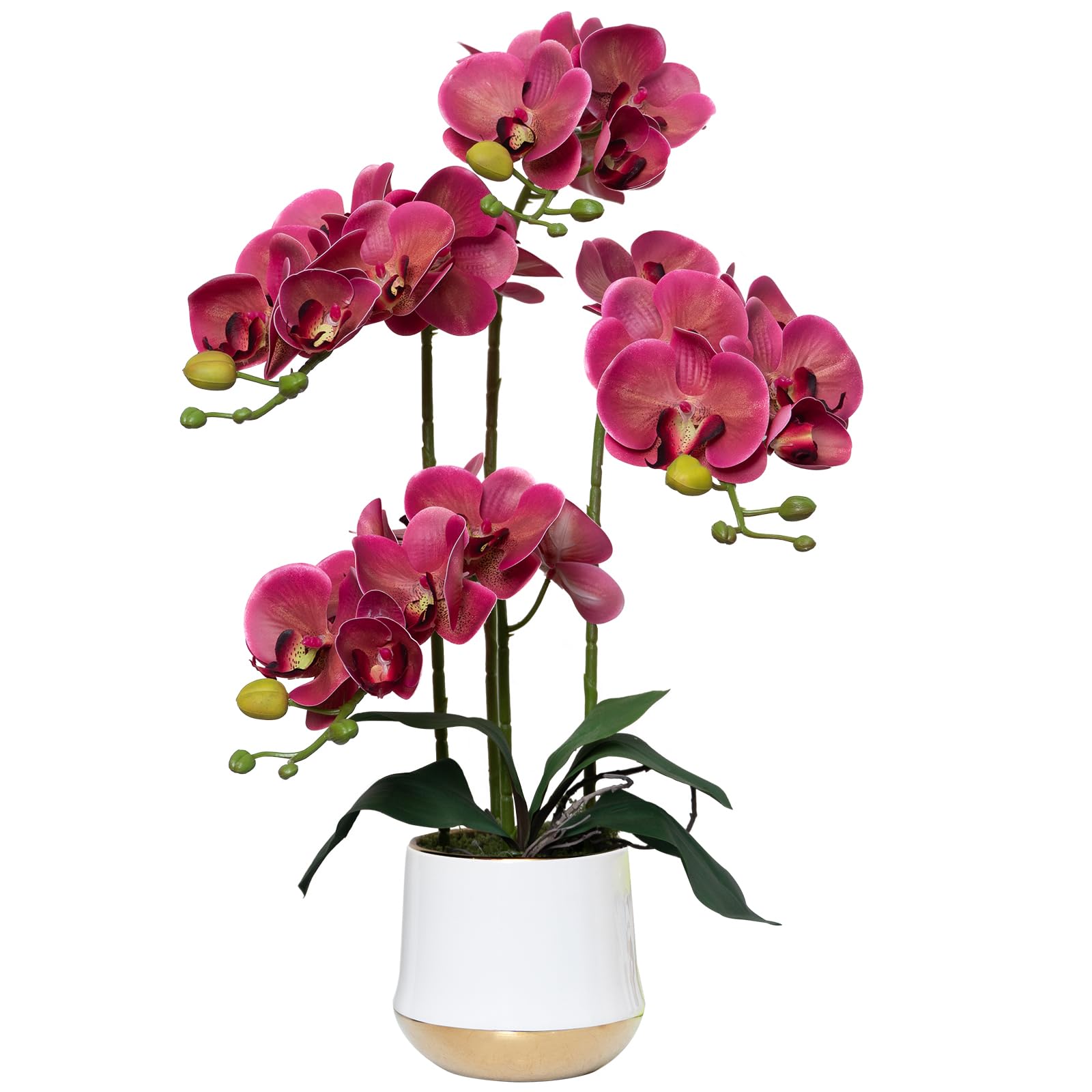 Arrangements de plantes phalaenopsis artificielles sans entretien