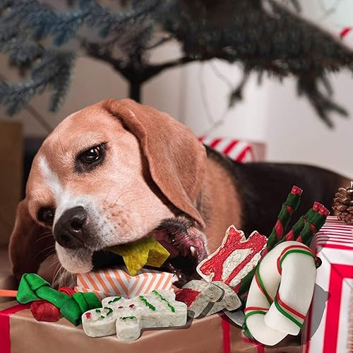 Miniatura 6 de MON2SUN 12 unidades de calcetines navideños de cuero crudo para perros pequeños