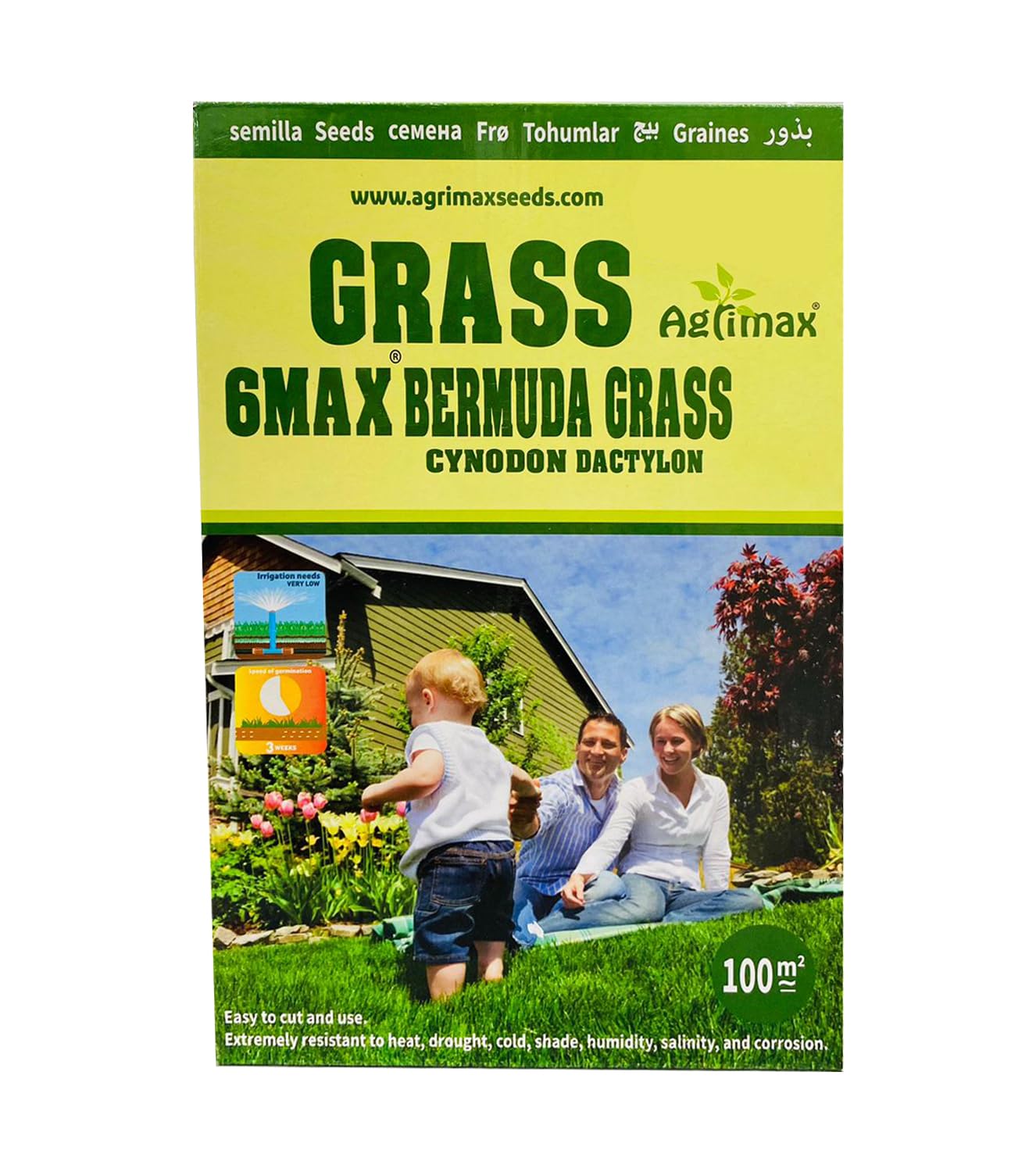Bermuda Grass 6Max Seeds “Cynodon Dactylon” 1kg By "Agrimaxgroup"
