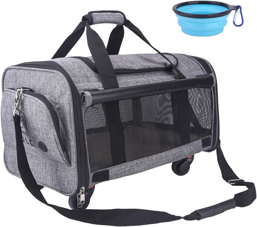 approved pet carrier