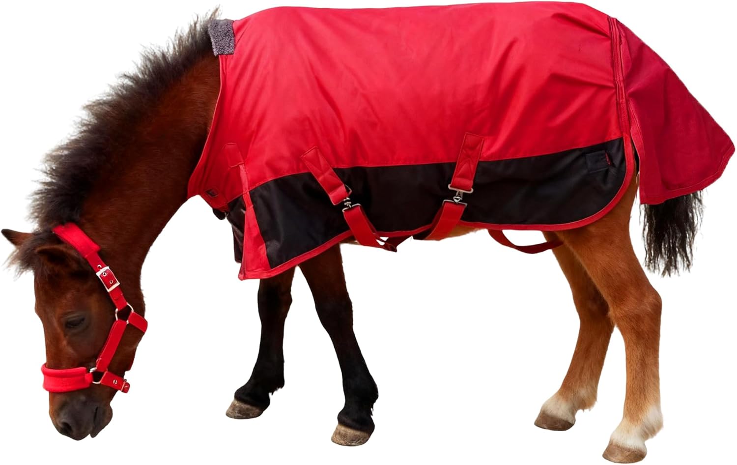 Mini Horse/Pony/Foal/Miniature Turnout Blanket, Medium Weight Winter Blanket for Horses, Donkey Blanket, 1680 Denier Waterproof &Breathable/220g Filling (Red, 51in)