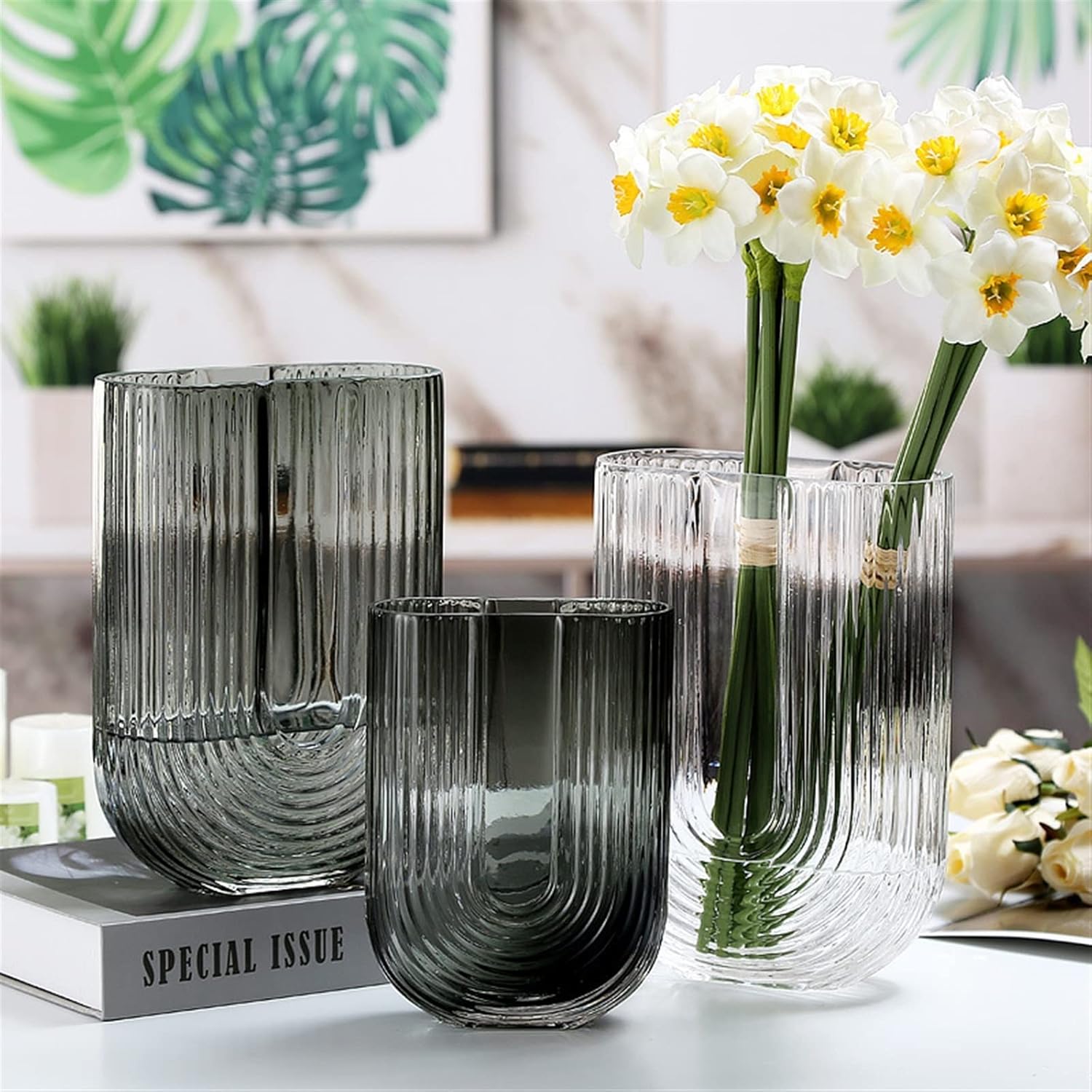 Vase Modern Simple Transparent Glass Vase Ornaments Nordic Living Room Creative Flower Water Culture Dry Flower Arranging Device Suitable for Dining and Living Room Home decoratio(Large)