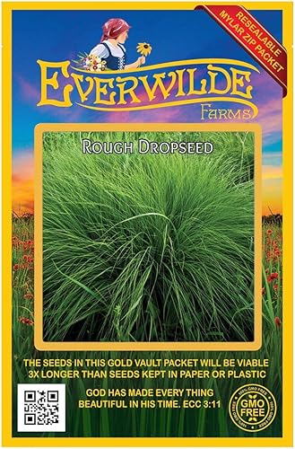 Everwilde Farms - 1000 semillas de hierba nativa de semillas de gota áspera - Paquete de semillas jumbo Gold Vault