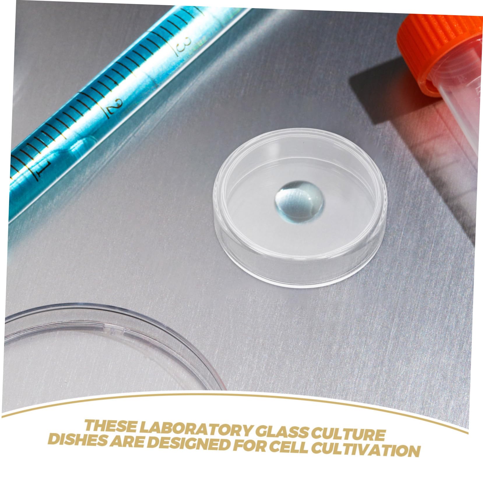 Ciieeo 10 Placas De Petri De Vidrio Experimentales Placas De Petri De Cultivo Placas De Petri Con Tapas Placas Científicas Placas De Petri De Laboratorio Placas De Petri De Agar