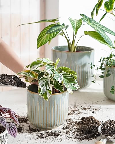 Miniatura 2 de LE TAUCI Macetas de cerámica estriada para plantas, macetas de interior de 8.376 pulgadas con agujeros de drenaje y malla, moderna maceta cilíndrica