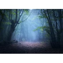 Dark Foggy Forest Backdrop Enchanted Autumn Forest Old Trees Landscape Green Leaves Blue Fog Nature Background Magic Picture for Birthday Party Decorations YouTube Portrait Photo Studio Props