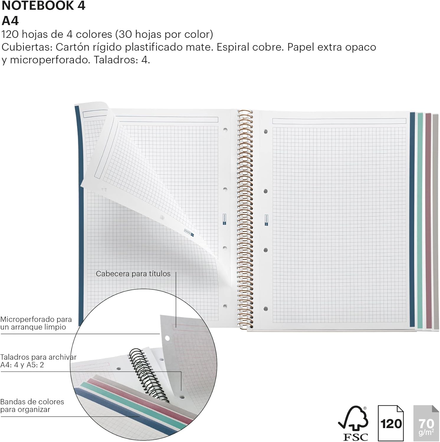 Miquelrius - A4 Notebook - 4 Colour Stripes - Squared 5x5mm - 120 Sheets - Spiral - Wildflowers Collection - Blue Flowers