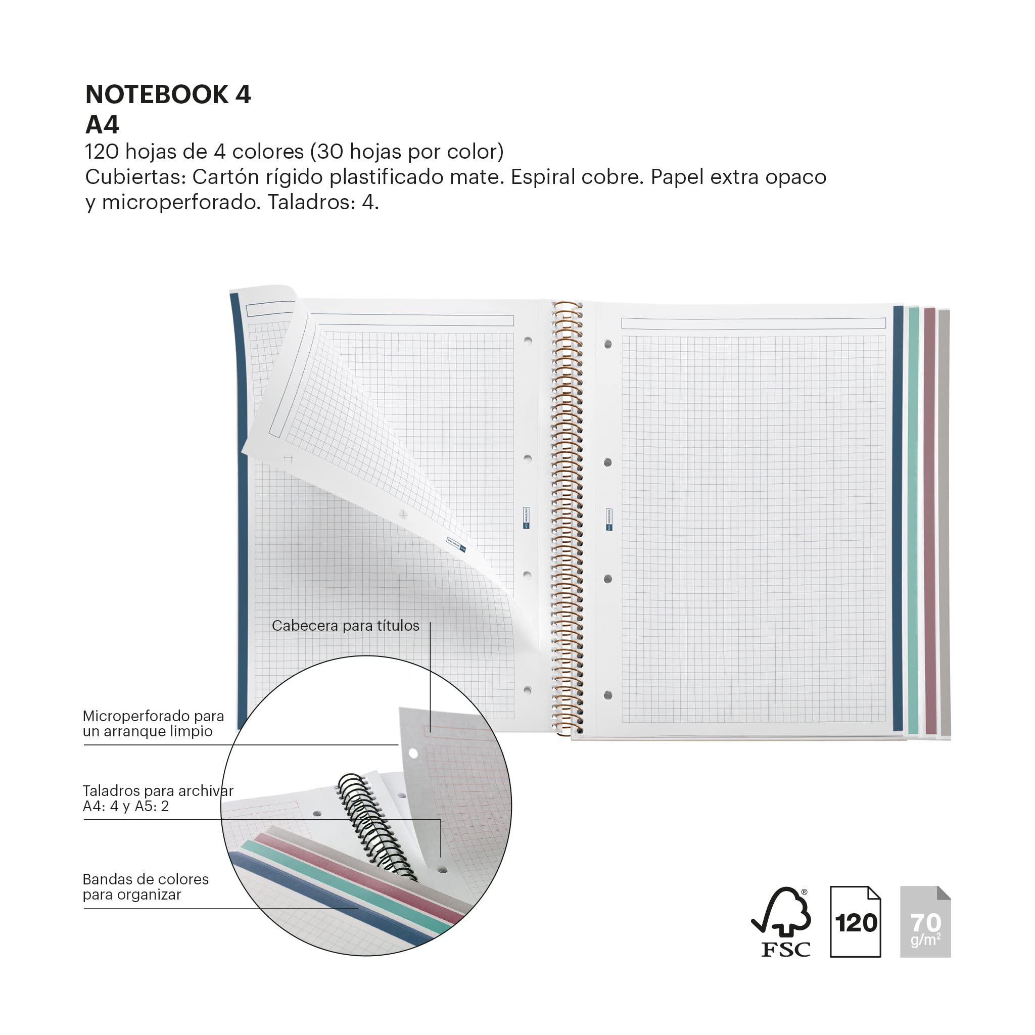 Miquelrius - A4 Notebook - 4 Colour Stripes - Grid 5 x 5 mm - 120 Sheets - Spiral - Wildflowers Collection - Blue Flowers - Image 3