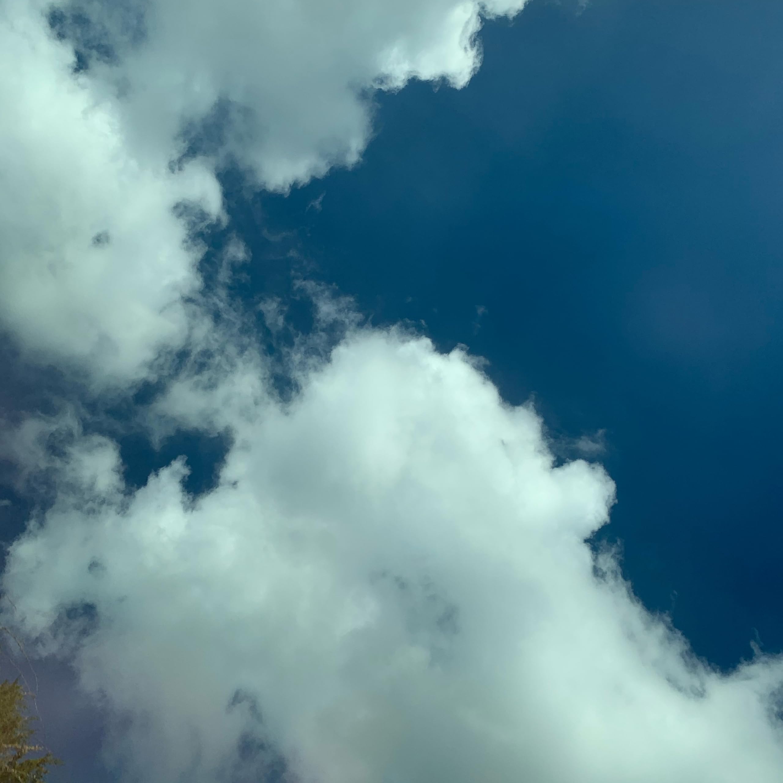 5 Minutes with Melissa and Mel