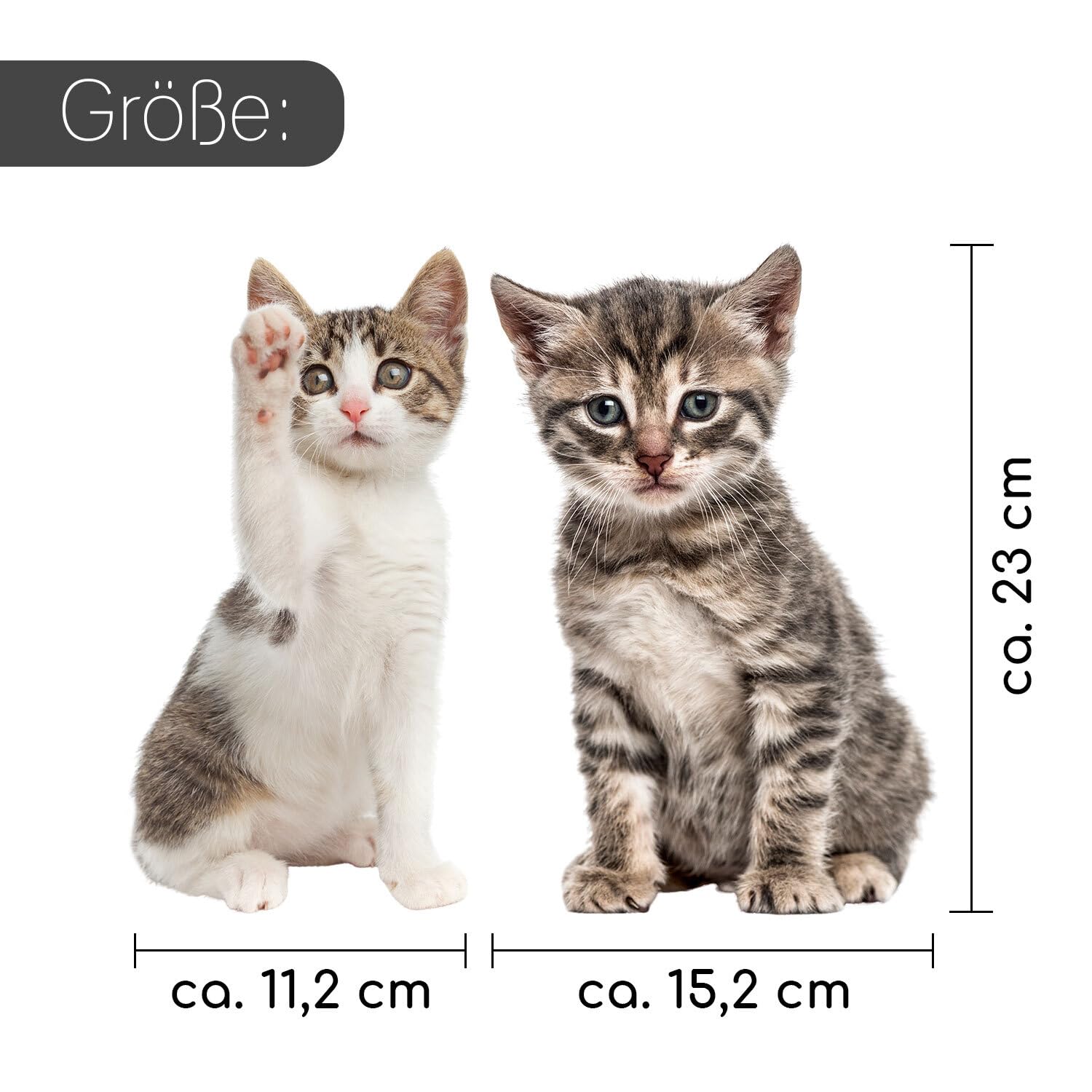 Younikat Fensterbild Eule - Statisch Haftend, Wiederverwendbar, 26x36cm