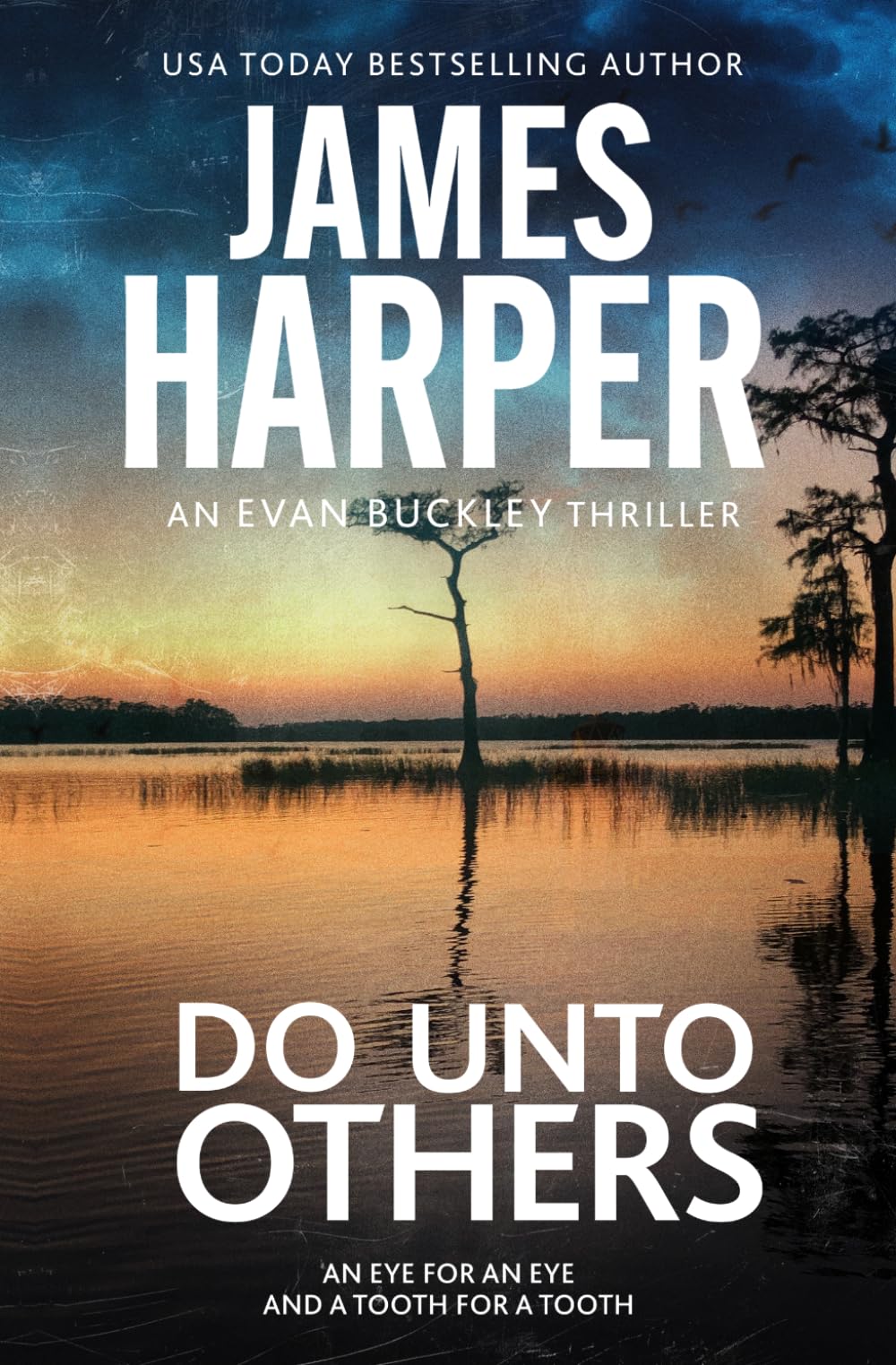 Do Unto Others: An Evan Buckley Crime Thriller (Evan Buckley Thrillers)