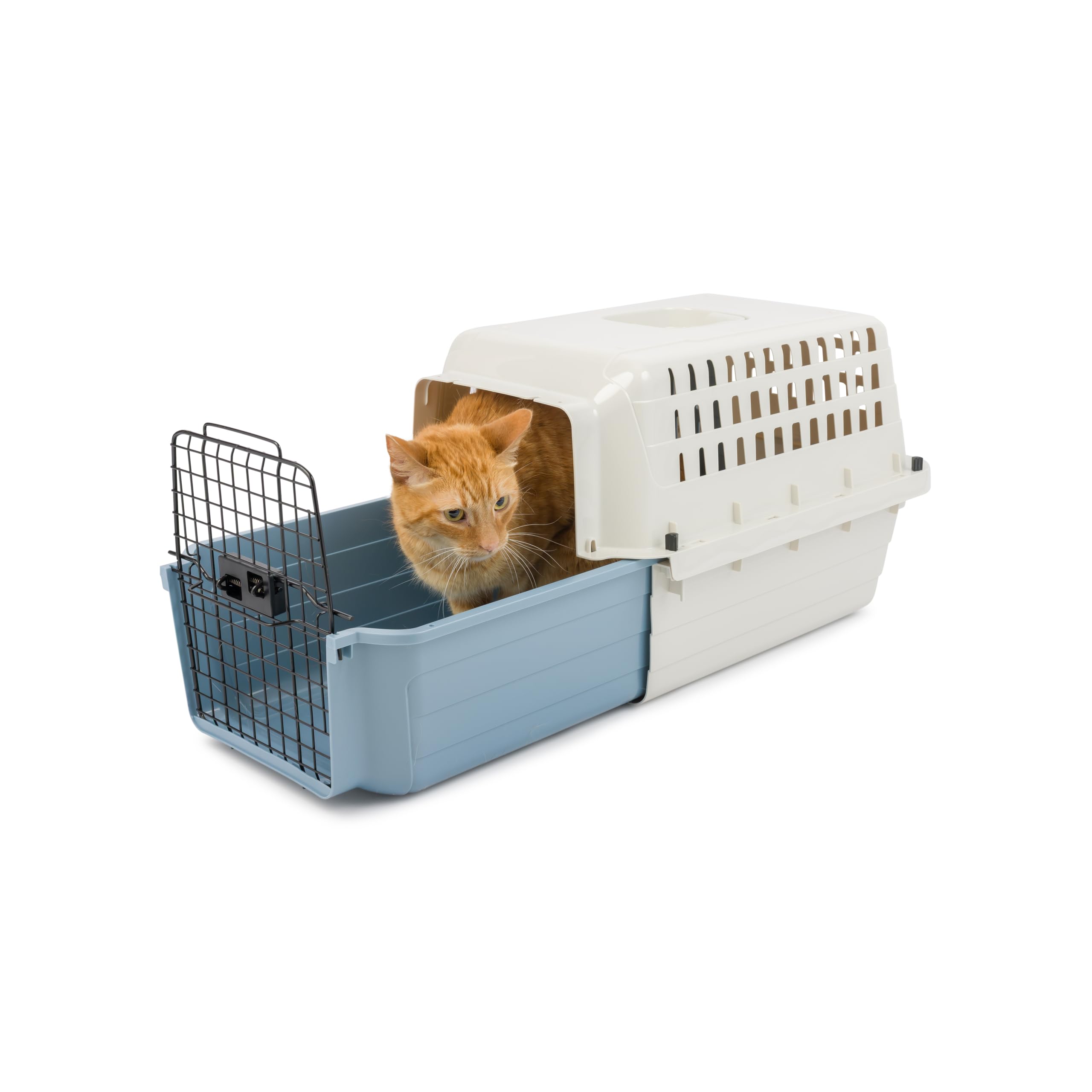 Amazon.com : Van Ness Calm Carrier (for Cats Up to 20 Lbs.) : Pet