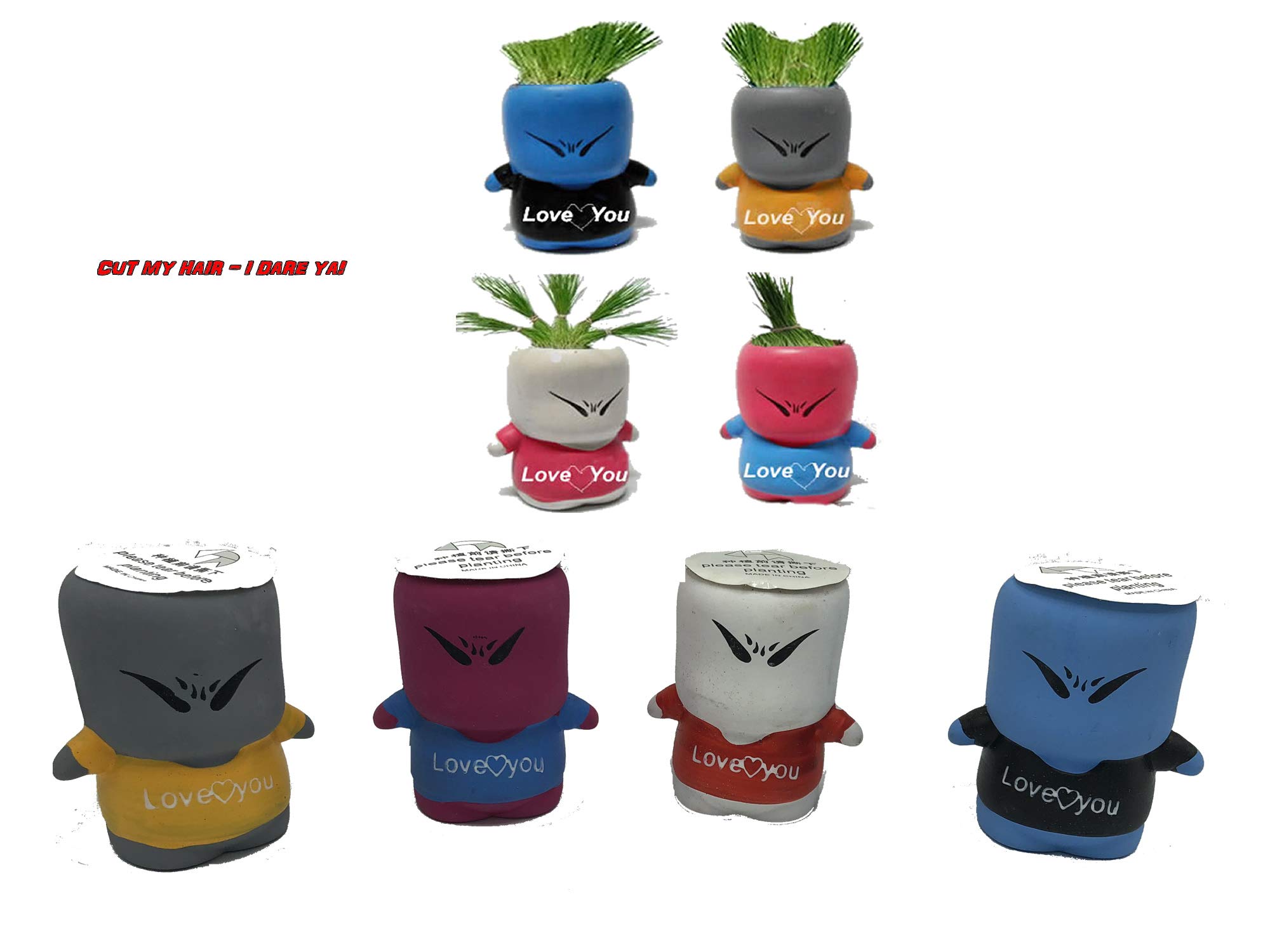 Grow A Grass Head - A Brilliant Nature Craft for Kids (Pink-Blue)