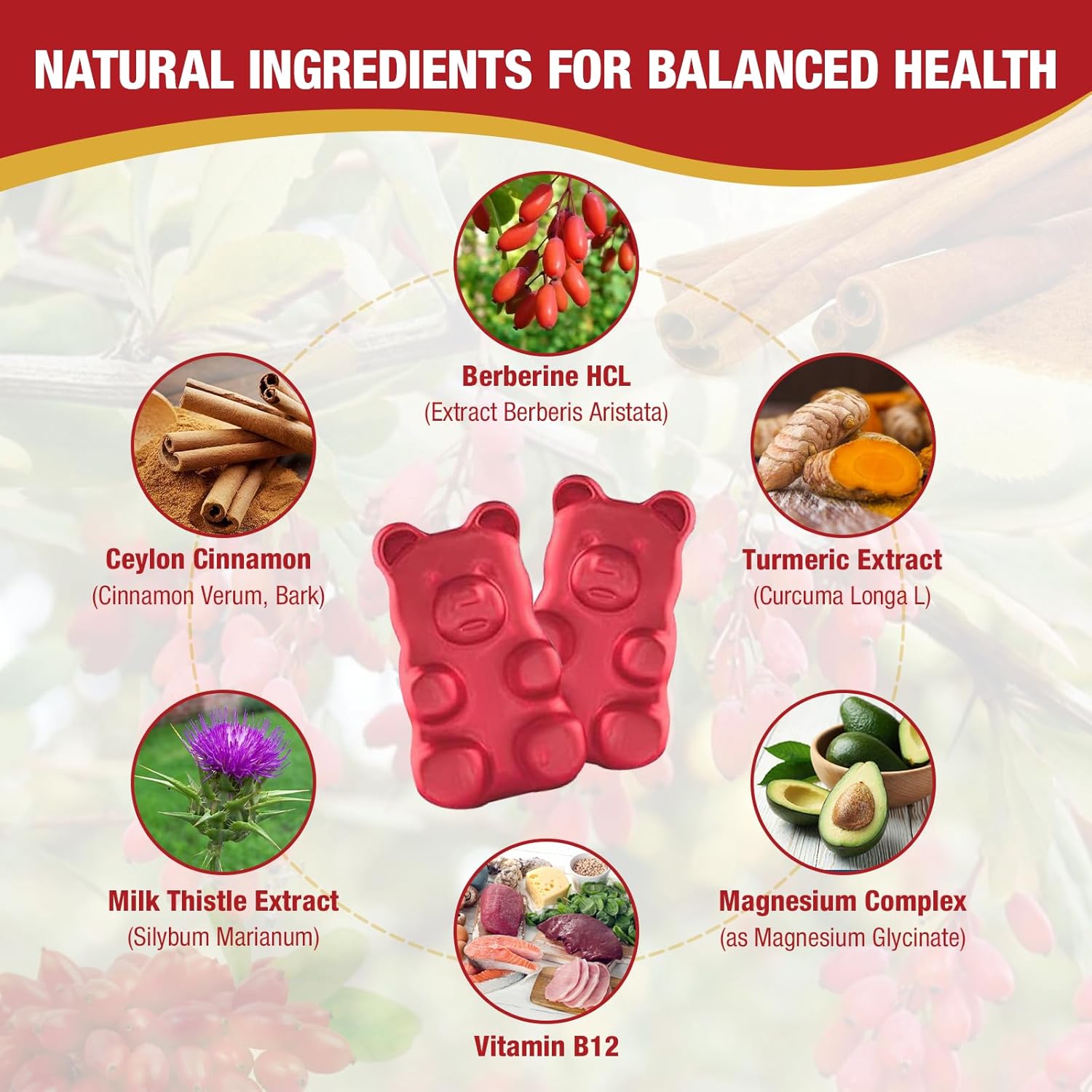 2000mg Berberine Gummies with Ceylon Cinnamon, Organic Berberine HCL Supplement for Women & Men, Sugar Free, Vegan, Non-GMO, Gluten-Free, Raspberry Flavor-60 Count - Image 3