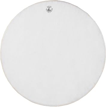 Remo Ocean Drum - Standard, 22