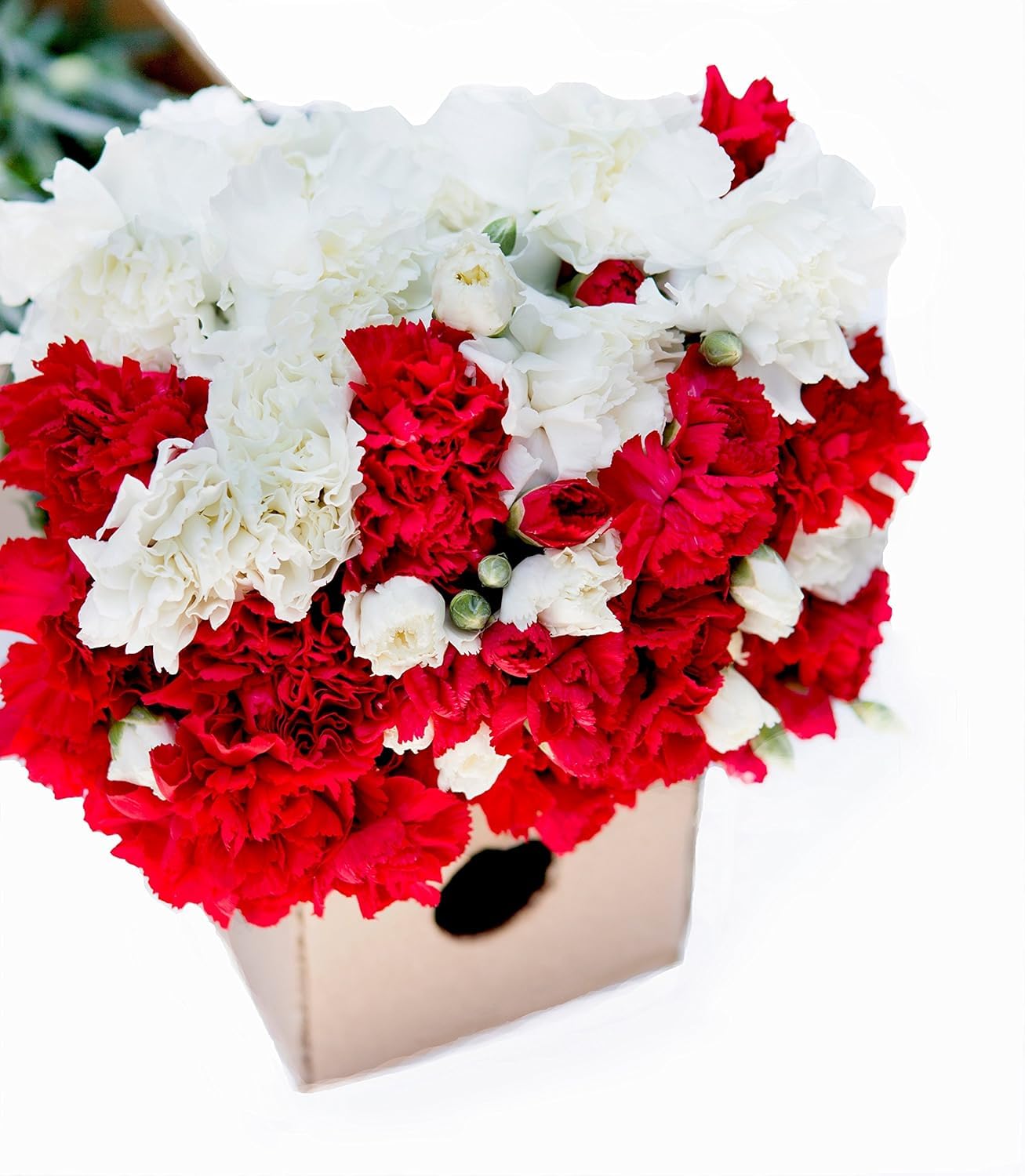 KaBloom - 50 Red And White Carnation - Fresh Flowers for Birthday, Valentine's & Mother's Day