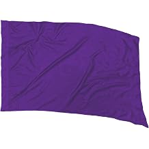 PRACTICE FLAG Color Guard Flag For Marching Band Color Guard Flag Pole, Curved Rectangle Indoor Winter Competition, Colorguard Performance ARC Flag, Polyester Silk - PURPLE