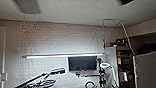 Review image 4