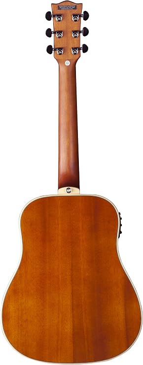 EKO Guitars 06217140 DUO Series Mini Dreadnought Acoustic-Electric Guitar