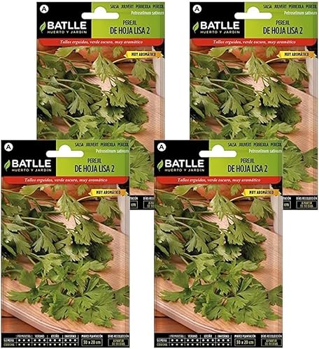 Pack 4 Semillas de perejil de hoja lisa Semillas Batlle