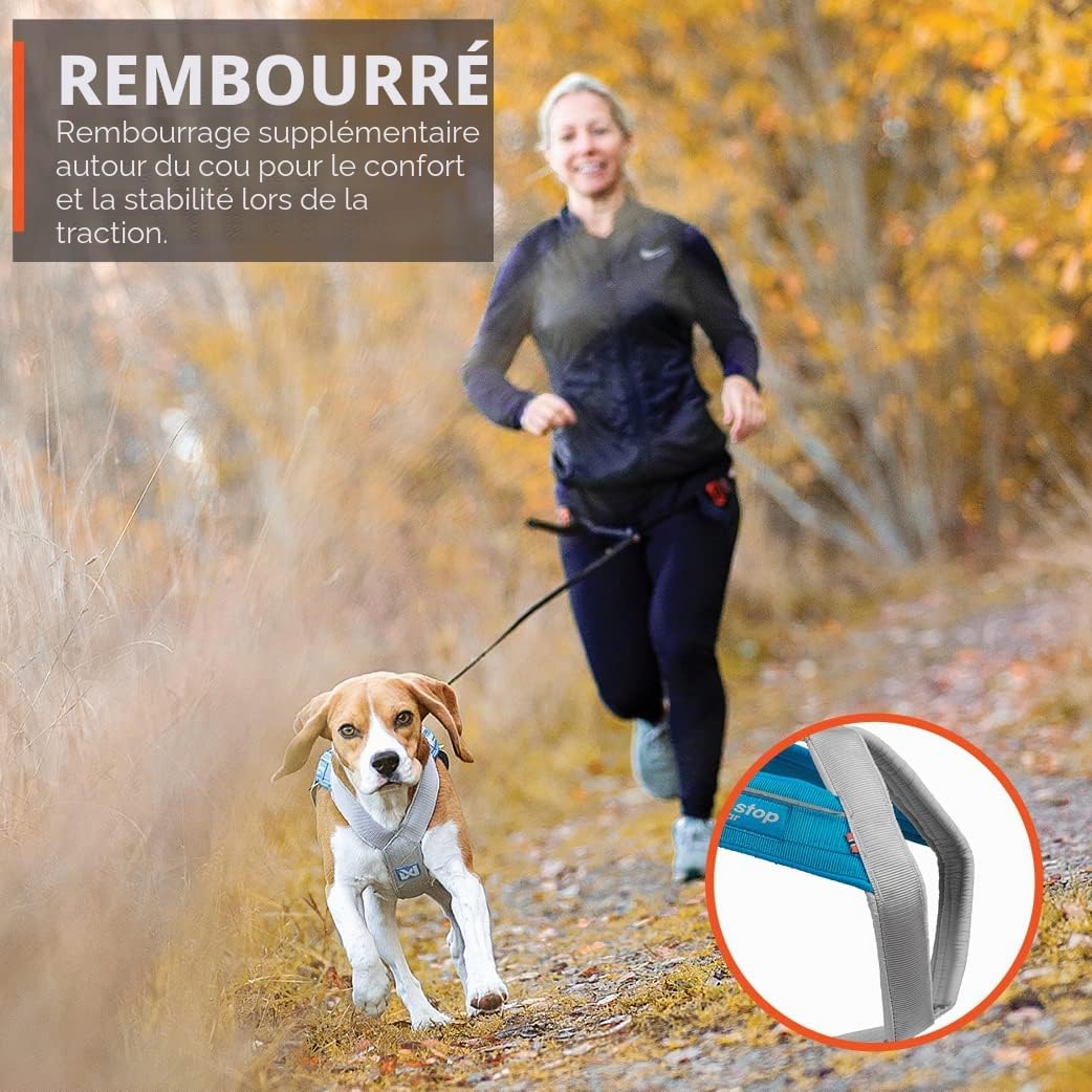Non-stop dogwear Freemotion Harness 5.0 est Un Harnais de Traction pour Chien pour Les Sports comme la Course, Le vélo et Le Ski avec Les Chiens, Harnais Professionnel réglable. Orange/Noir, Taille 4
