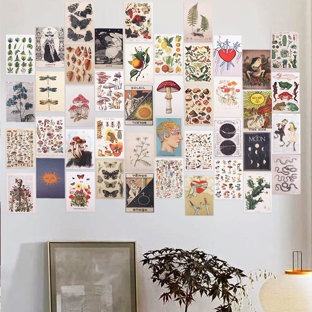 Wall Collage Kit, Vintage Botanical Wall Collages (50PCS) Cards Room