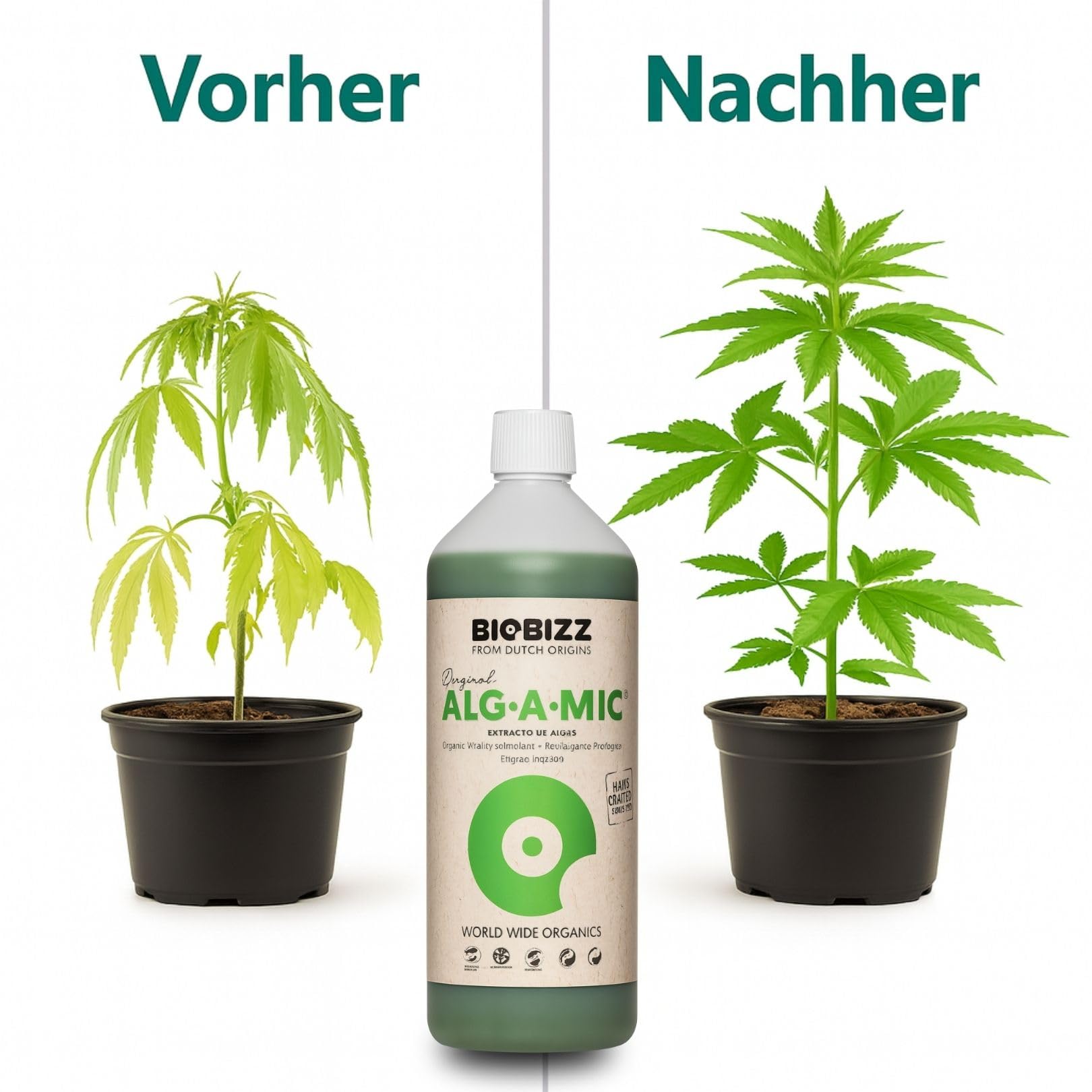 Weedness BioBizz ALG-A-Mic 5 litrów – naturalny nawóz do uprawy pomidorów w płynie orchidee bonsai organiczny NPK