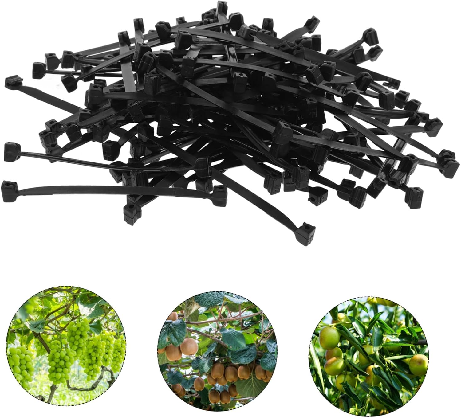 1bag Plant Fixing Clips Garden Vine Support Clamp Tie Branch Card Greenhouse Accessory for Fruit Grapes Beans Veggies