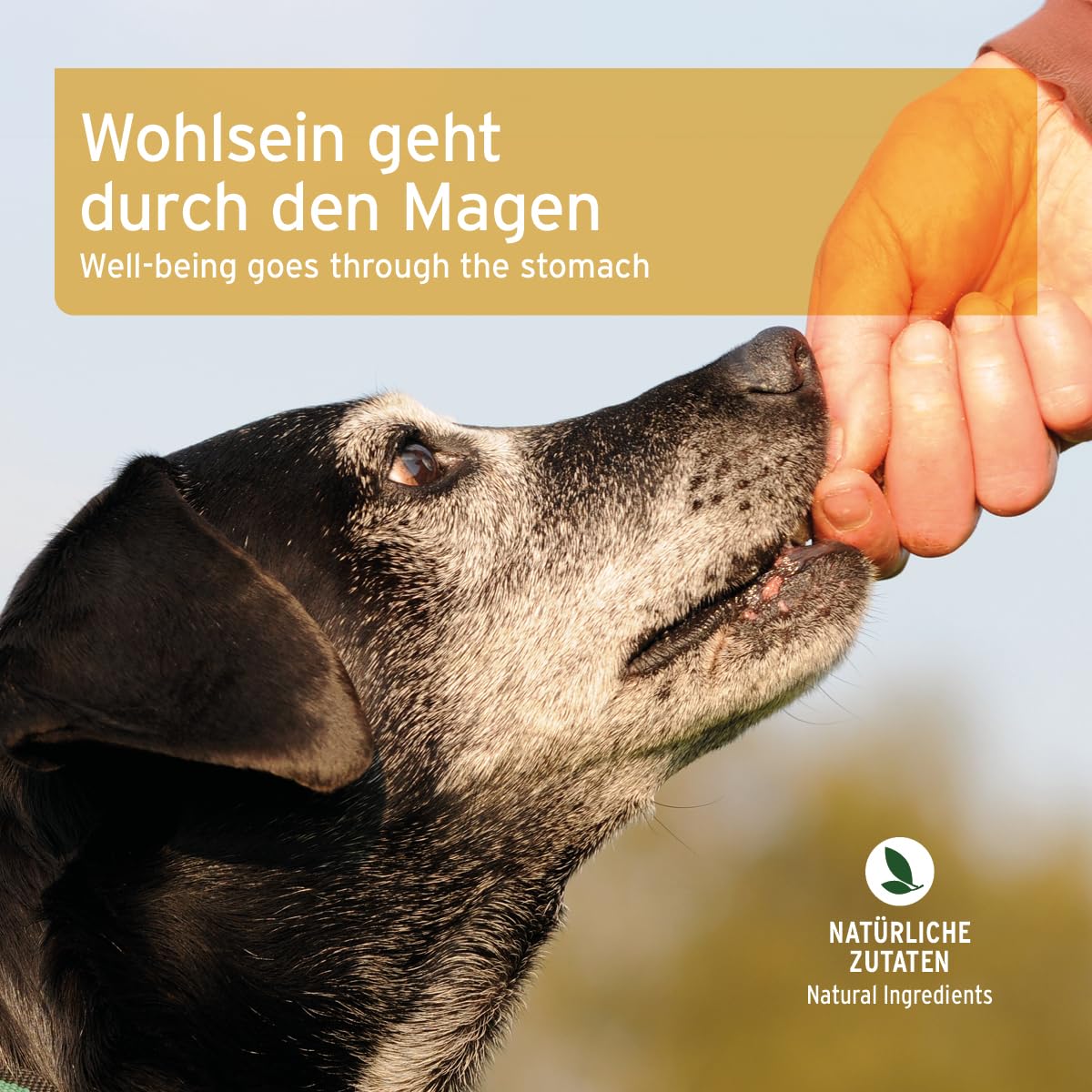AniForte Magen & Darm Snack für Hunde 300g - Verdauungssnacks mit Probiotika, Heilmoor, fördert Darmregulierung & Verdauung, verbessert die Kotbeschaffenheit, getreidefrei, ohne Zucker