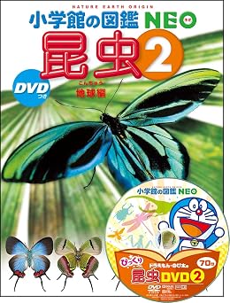 2 DVD     NEO 24