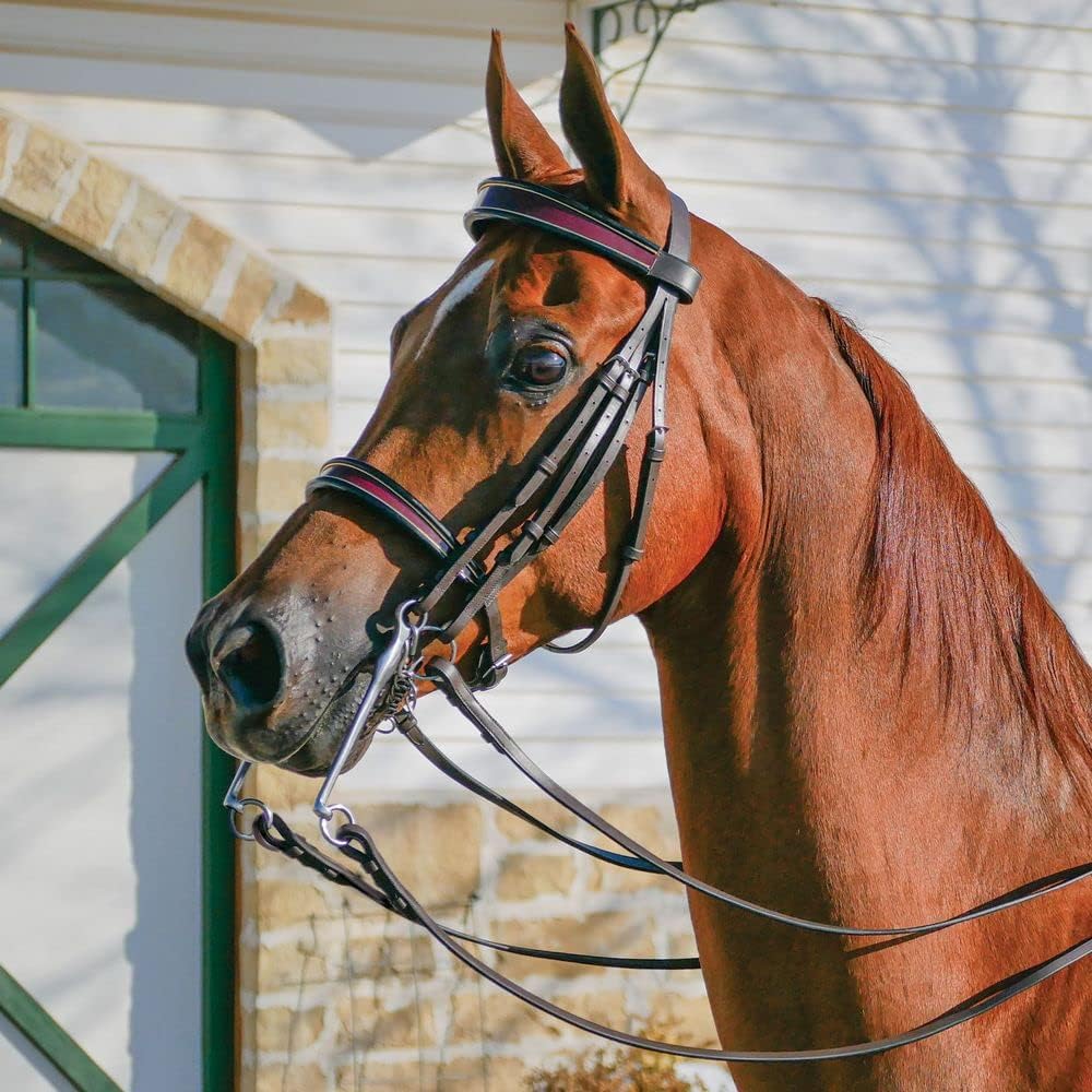 Schneiders Pinnacle English Show Bridle for Horses | Handcrafted English Tradition | Fits Multiple Horse Breeds | Customizable Browbands & Nosebands | Quality Stainless Steel Buckles