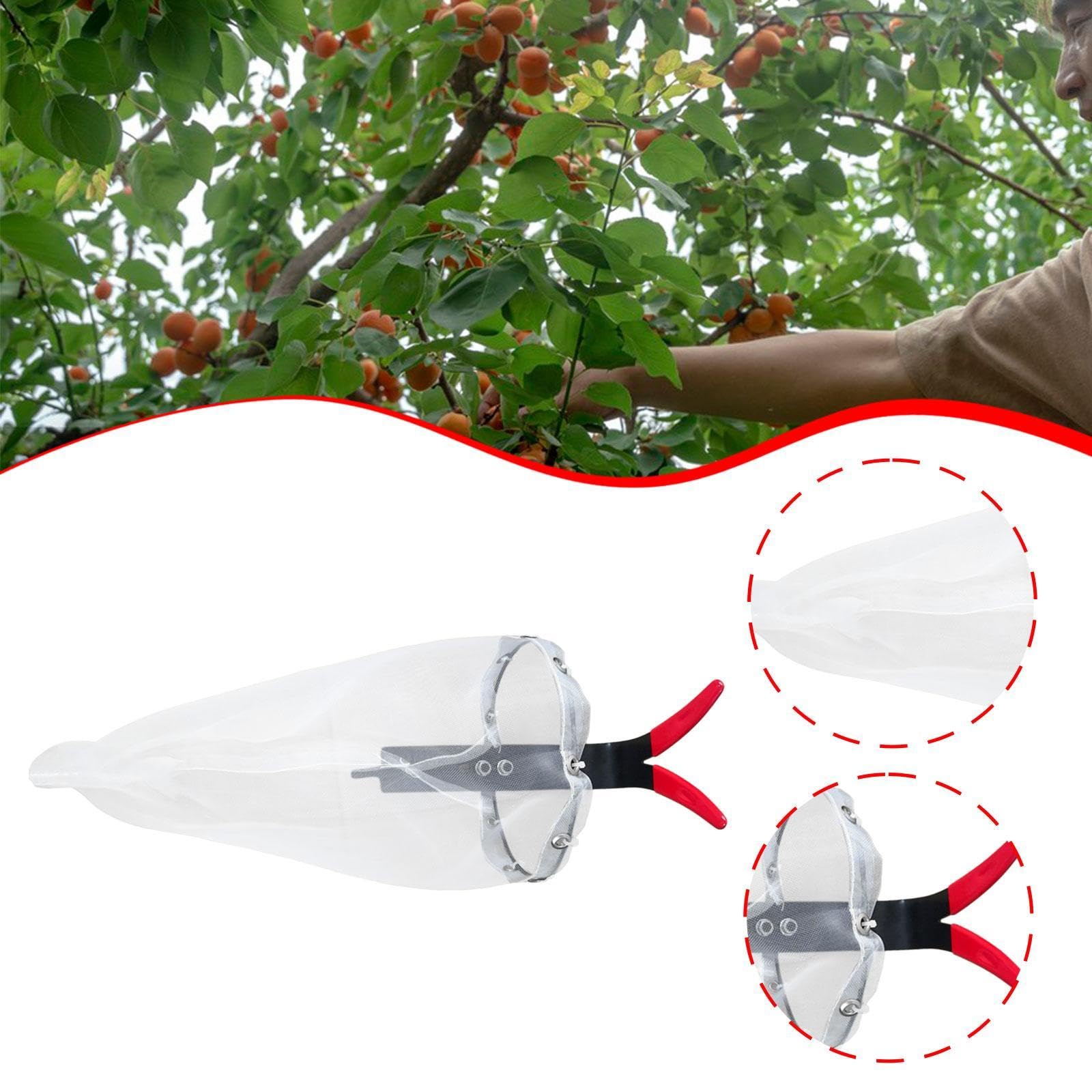 Baoblaze Raccoglitore di Frutta Leggero, Attrezzo da Giardinaggio per, E