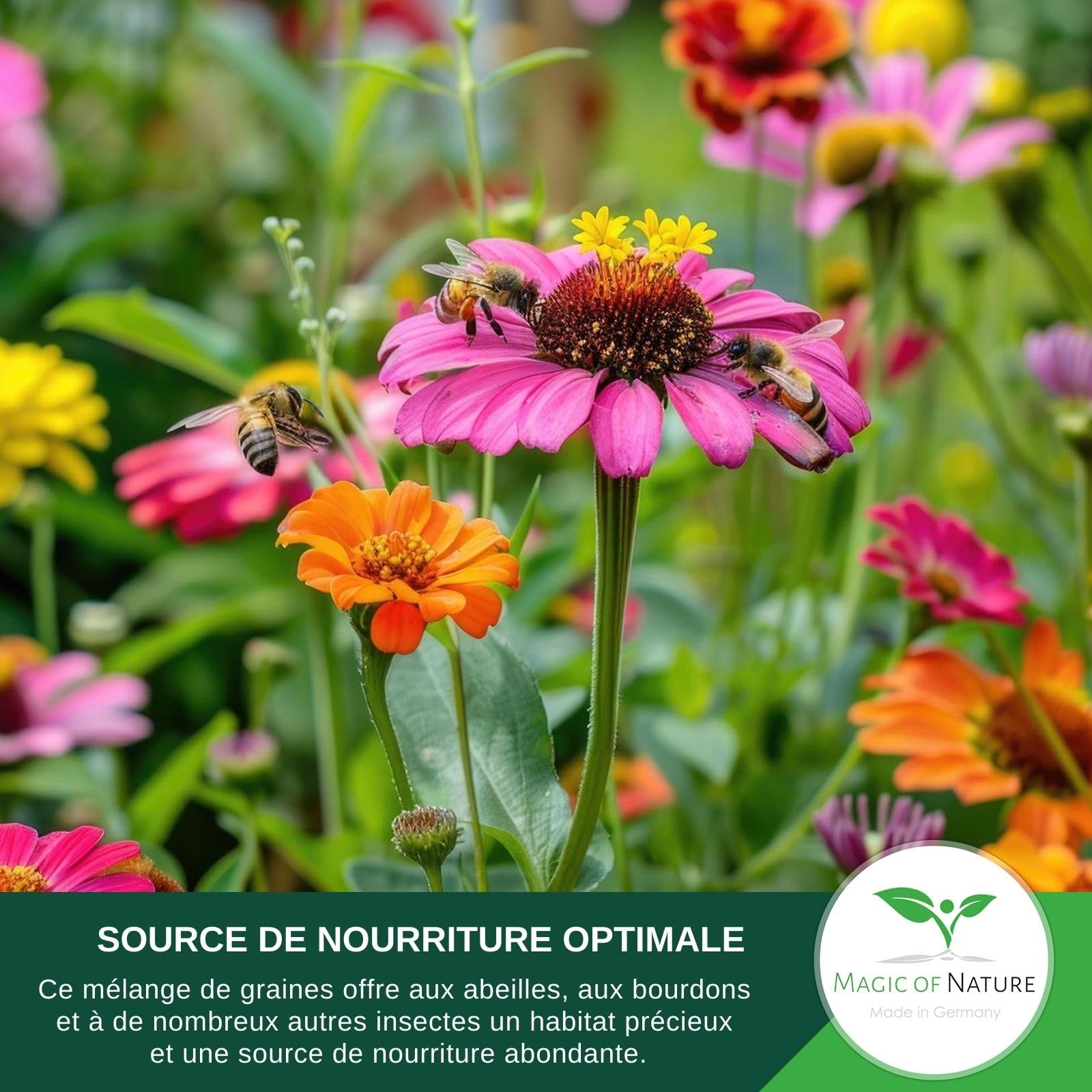 Magic of Nature: Mélange Graines Fleurs - Paradis des Abeilles (2,5 kg) | Prairie Fleurie Mellifère - Plus de 20 Variétés pour 750 à 1.250 m²