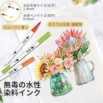 Amazon.co.jp: M ZSCMイラストペン 100色 ふで・極細 水性