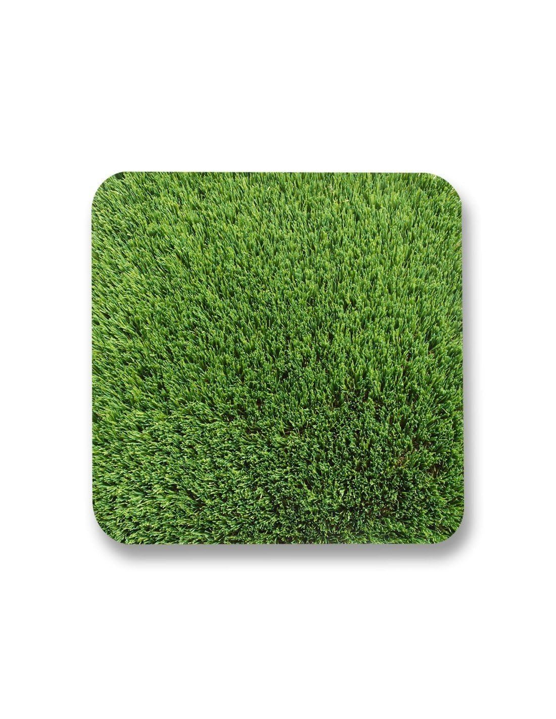 Jardin202 - Césped Artificial Miami 50mm | Alta Densidad 26.250 Puntadas | Suavidad y Realismo | Rollo: 2x5 Metros () | Rollo: 2x5 Metros