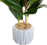 Vista 6 de Juvale Pequeña planta de ficus artificial en maceta pequeña de cemento gris para decoración del hogar (11.8 pulgadas)