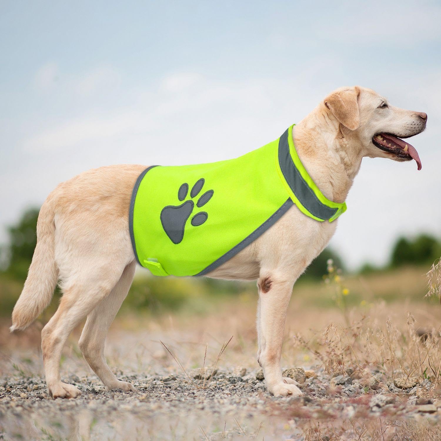 Vêtements Réfléchissants pour Chiens 2 Pièces, Gilet De Sécurité De Voyage pour Animaux De Compagnie, Gilet Respirant Et Confortable pour Animaux De Compagnie