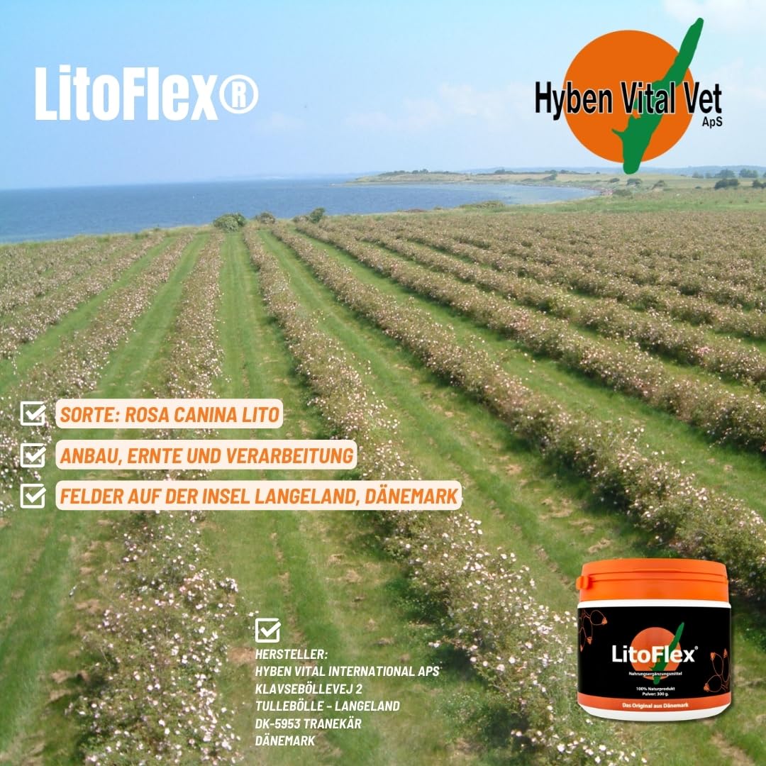 LitoFlex Pulver 100% Hagebuttenpulver 300g